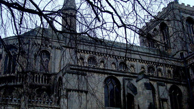 Dsc08388