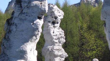 Ogrodzieniec – Polska