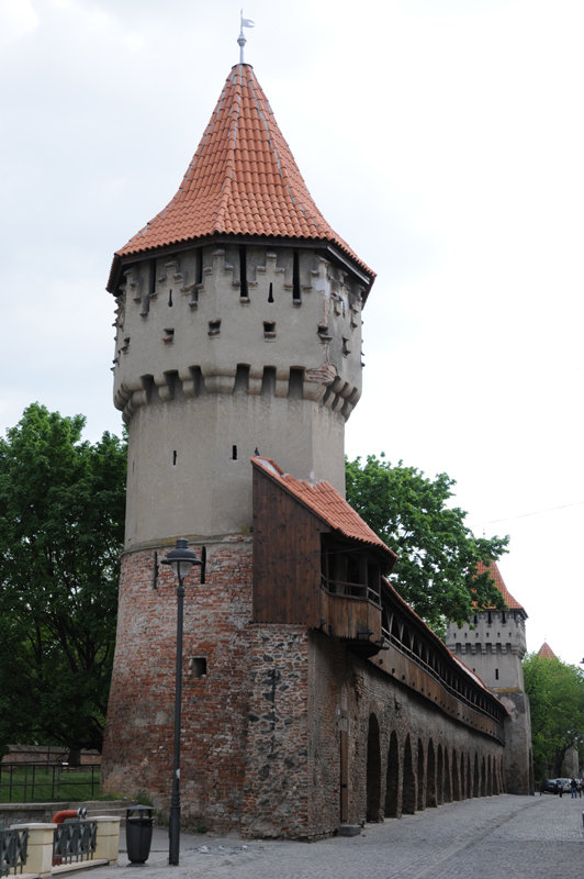 Dsc 1784