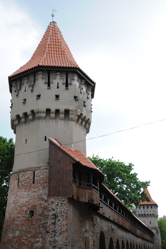 Dsc 1785