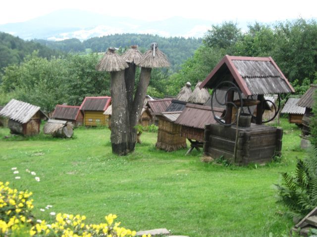 pasieka