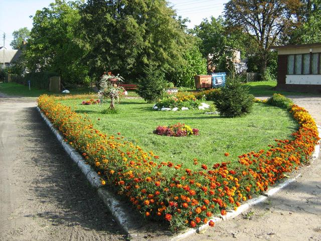 LALKOWY