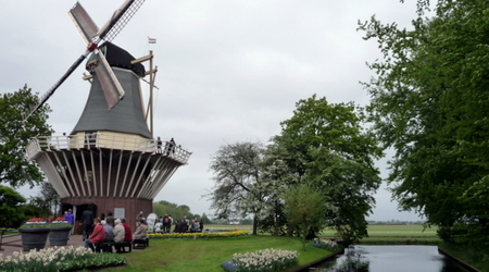Keukenhof - wiatrak jako punkt widokowy – Lisse, Holandia
