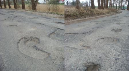 Ser szwajcarski – Bartąg, Polska