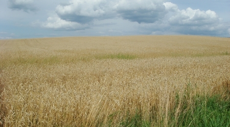 Cisza totalna – Bartąg, Polska