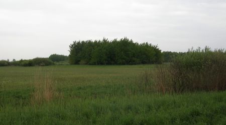 Laki i laski – Niewirków, Polska