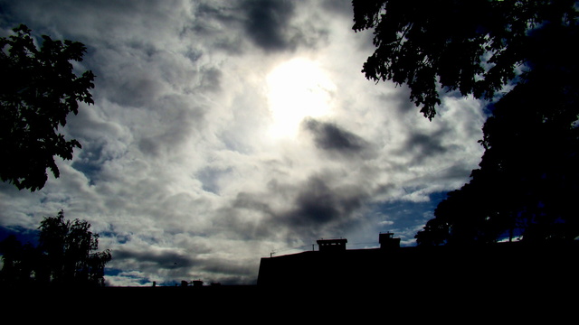 Dsc03326
