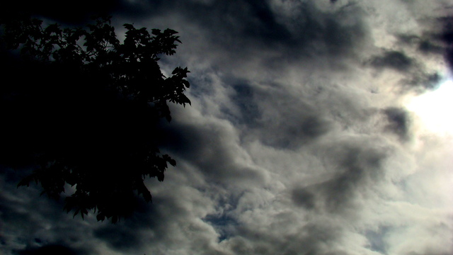 Dsc03320