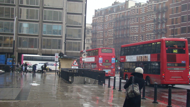 Dsc08987