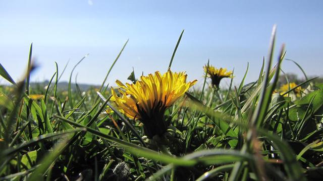 Niedzielne popołudnie na Błoniach