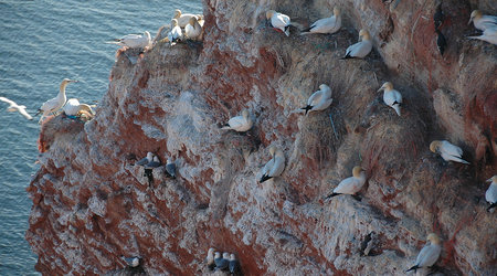 Helgoland/Niemcy