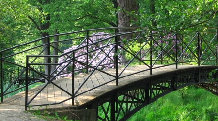 Pszczyna – Polska