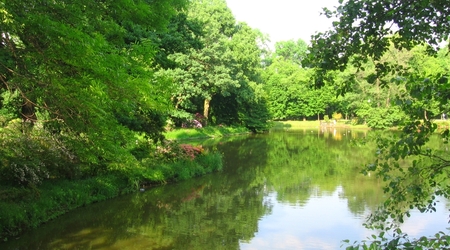 Pszczyna – Polska