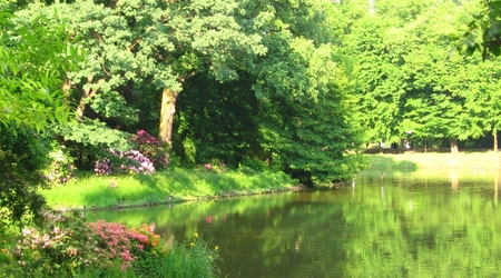 Pszczyna – Polska