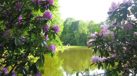 Pszczyna – Polska
