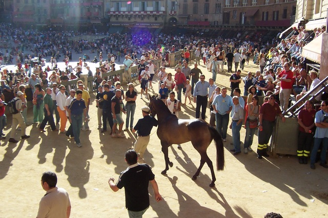 Il Palio