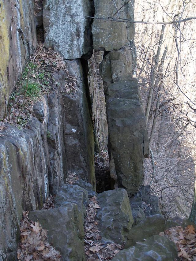 Garret Mountain