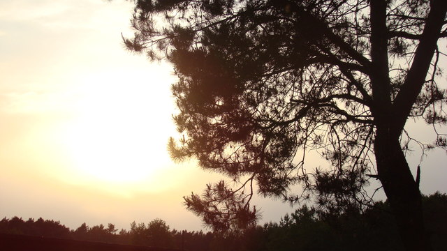 Dsc03945