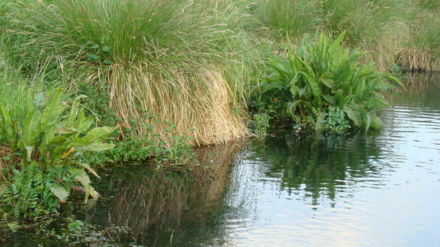 Dsc03888