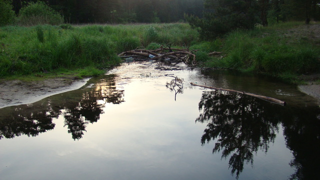 Dsc03878