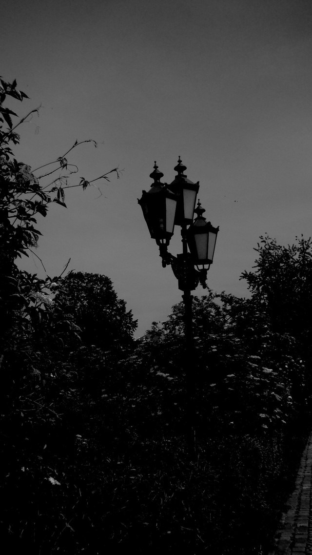 Dsc03679