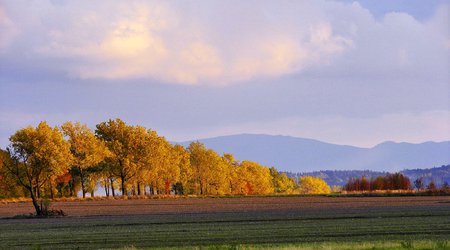 Zawidowskie krajobrazy – Zawidów, Polska