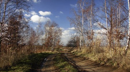 Zawidowskie krajobrazy – Zawidów, Polska