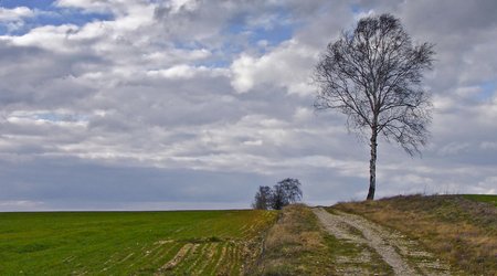 Zawidowskie krajobrazy – Zawidów, Polska