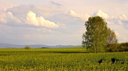 Zawidowskie krajobrazy – Zawidów, Polska
