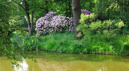 Pszczyna – Polska