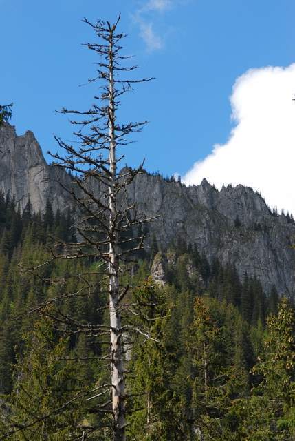 Tatry maj 2009
