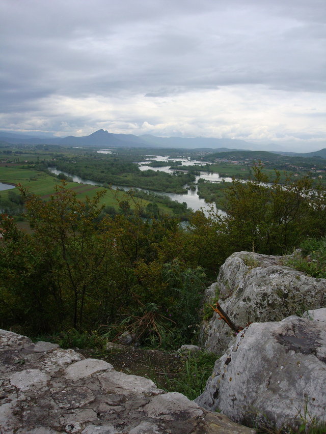 Szkodra