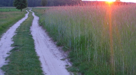 Świętokrzyskie – Suliszów, Polska
