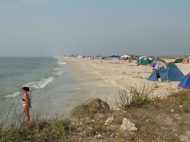 Dziki kemping