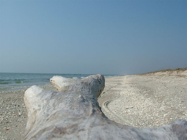 Gura Portitei