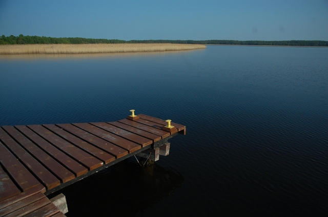 Mazury, Roś