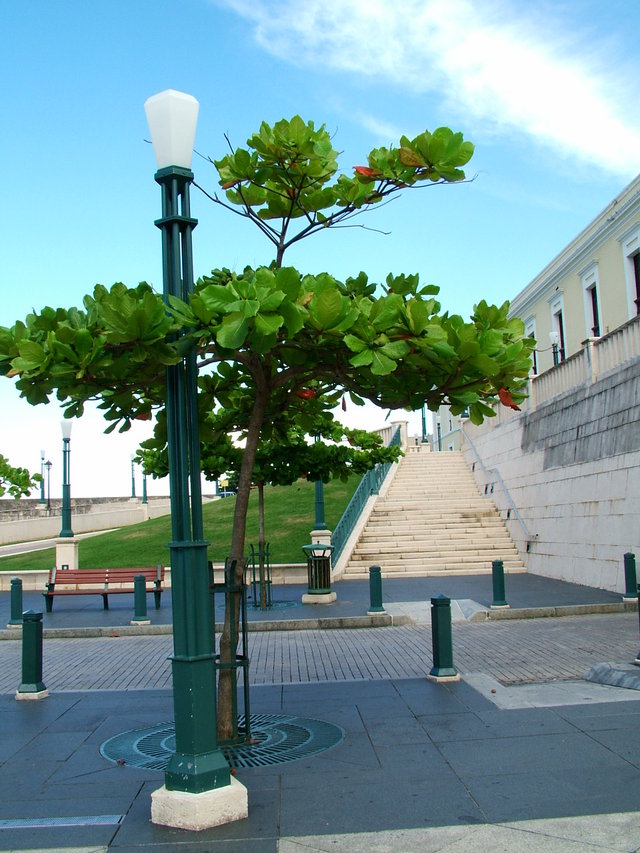 Dcf00040