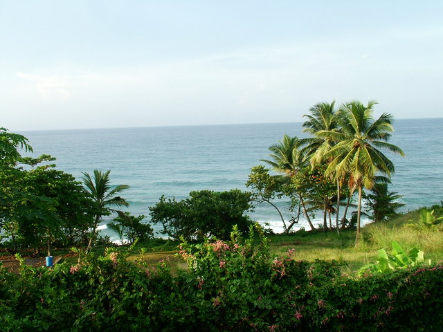 Ocean