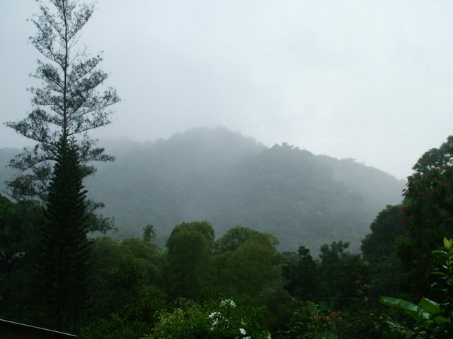 Puerto rico 5