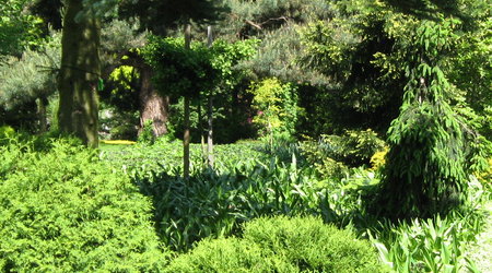 ogród botaniczny – Polska