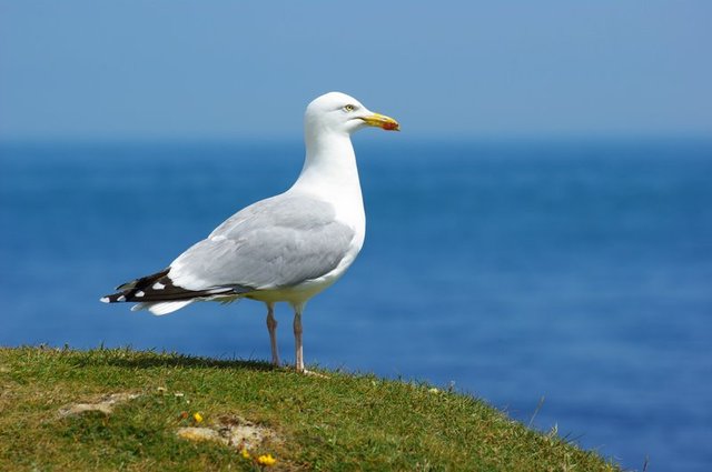Isle of Portland
