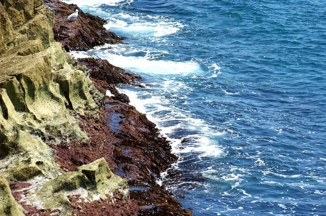 Lulworth Cove