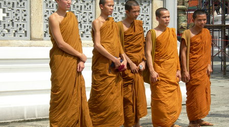 Mnisi – Bangkok, Tajlandia