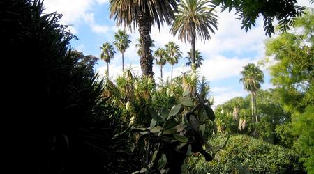 Ogród botaniczny – Lizbona, Portugalia