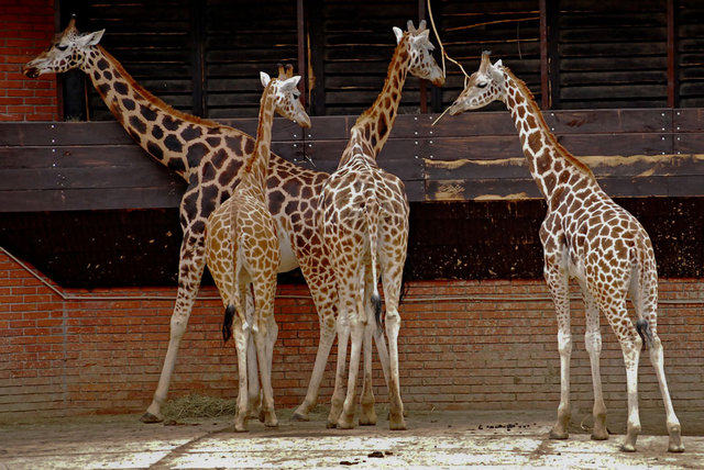 Zoo Liberec 