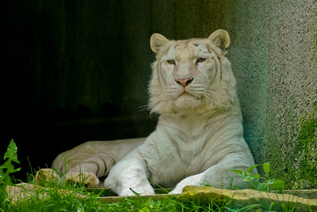 Zoo Liberec 