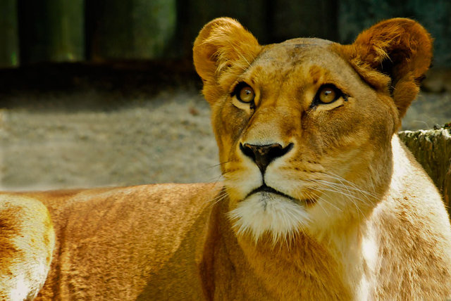 Zoo Liberec 