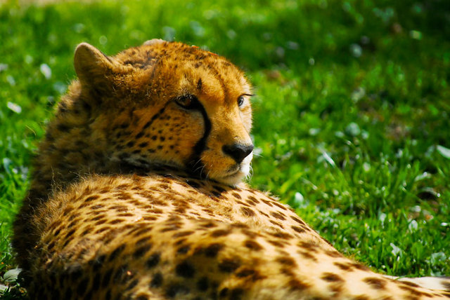 Zoo Liberec 
