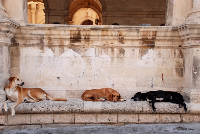 Kreta, Grecja