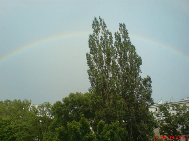 Dsc01468